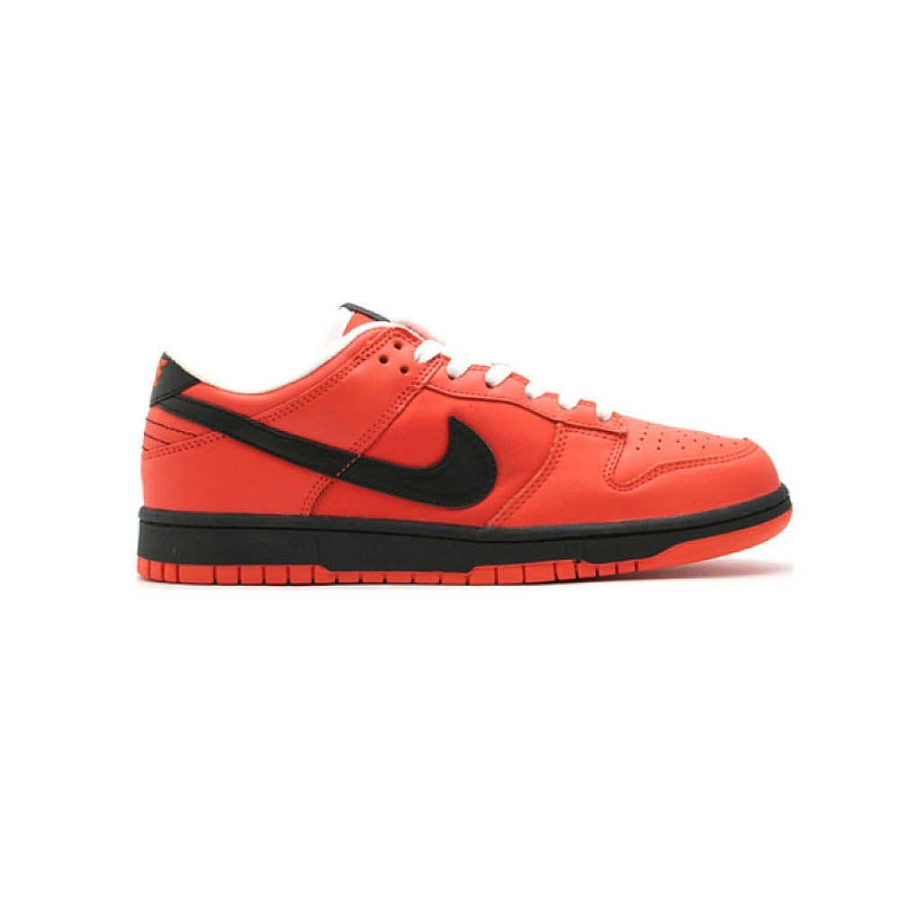 10.5 US - NEW Nike Dunk Low x Holland 2004 Worldcup